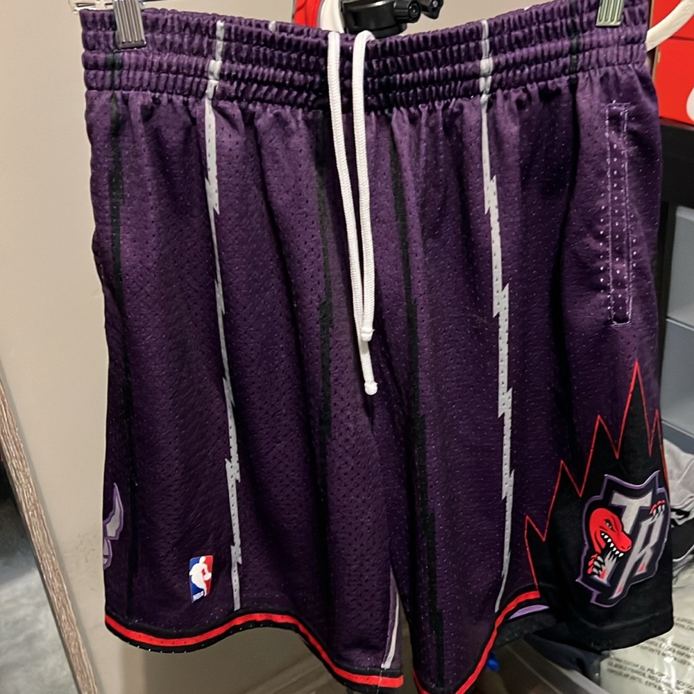 TORONTO RAPTORS SWINGMAN SHORTS - Picture 4 of 7